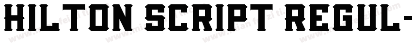Hilton Script Regul字体转换